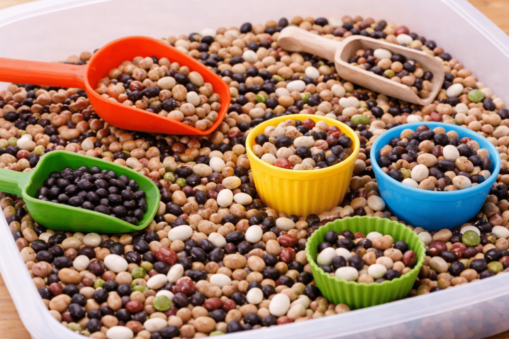a sensory bin filled with a mixture of beans, scoops, and containers for preschool play